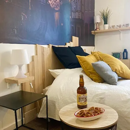 Appartement Le Garden Centre-ville Mulhouse