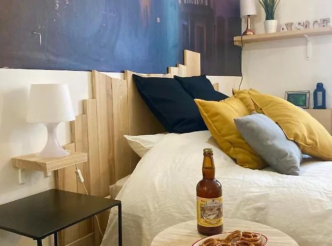 Appartement Le Garden Centre-ville Mulhouse